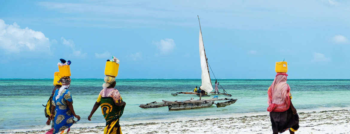 Zanzibar - Seaweeds